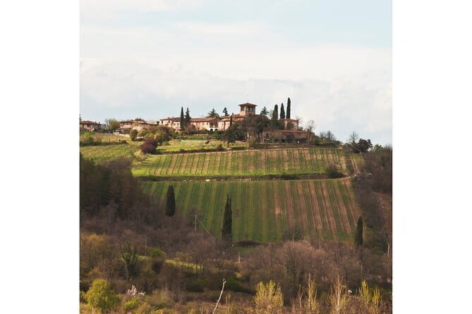 Chianti Wine Tour from Florence to San Gimignano with 2 Wineries - San Gimignano: where the medieval towers do the talking