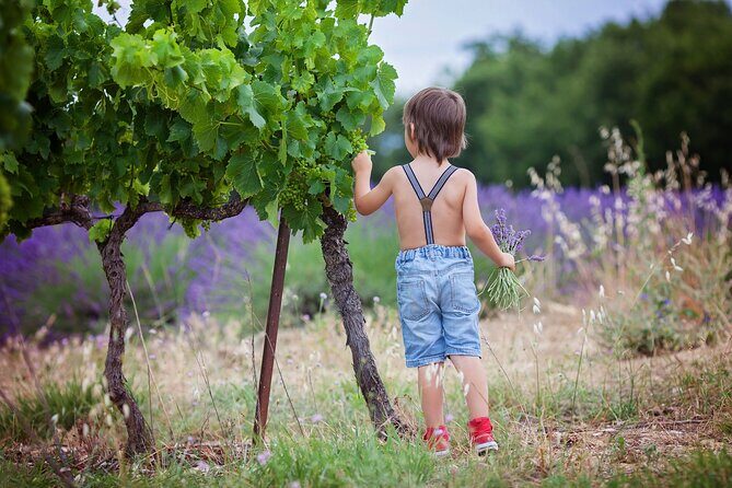 Chianti Wine Tour in Tuscany from Florence - San Gimignano Cellars and Tastings: Wine, Olive Oil, and Food