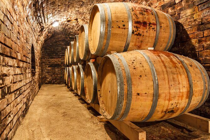 Chianti Wine Tour in Tuscany from Florence - Who This Tour Fits Best (Families, Couples, Wine Newbies)