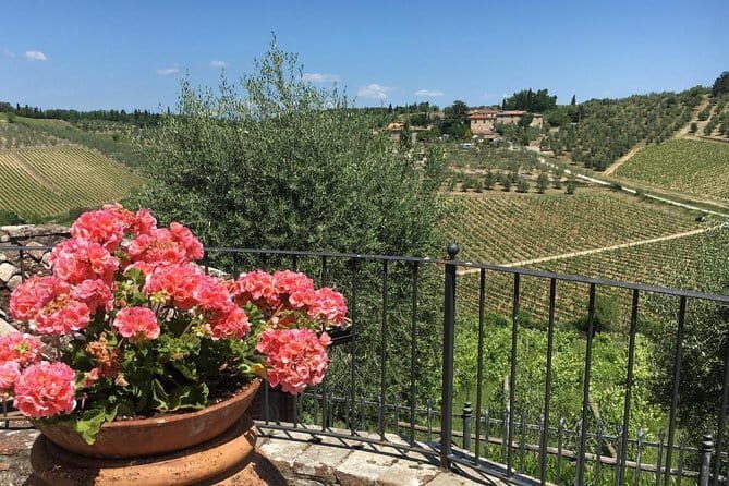 Chianti Wine Tour - Private Wine experience in Tuscany Countryside - Castellina in Chianti: vineyards, cellar tour, and a second tasting round