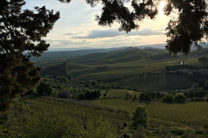Chianti Wine Tour - Private Wine experience in Tuscany Countryside - Badia a Passignano, Montefioralle, Greve: classic Chianti stops with quick photo time