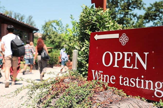 Chianti Wine Tour: Two Wine Tastings, Vineyards and Cellar Visit - Key highlights worth your time
