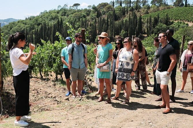 Chianti Wine Tour: Two Wine Tastings, Vineyards and Cellar Visit - A Half-Day Taste of Chianti from Florence