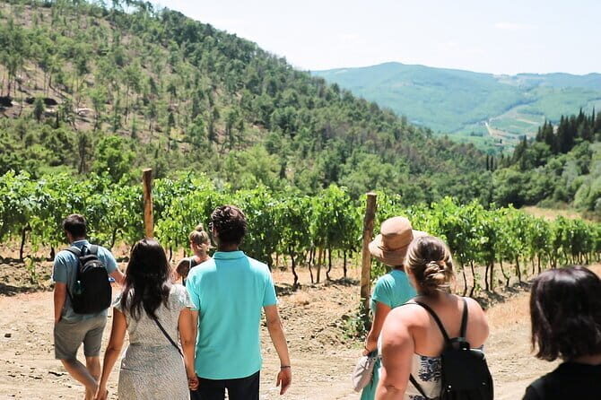 Chianti Wine Tour: Two Wine Tastings, Vineyards and Cellar Visit - Stop 1: Chianti Classico Winery with Owner-Led Tastings