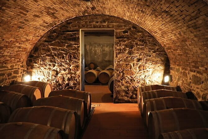 Chianti Wine Tour: Two Wine Tastings, Vineyards and Cellar Visit - Who This Tour Suits Best