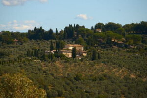 Chianti Wine Tour with Tastings Semi-Private Experience - Wine tastings and olive oil: what you’ll learn (and what you should expect)