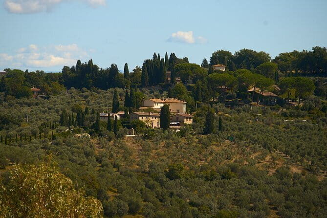 Chianti Wine Tour with Tastings Semi-Private Experience - Wine tastings and olive oil: what you’ll learn (and what you should expect)
