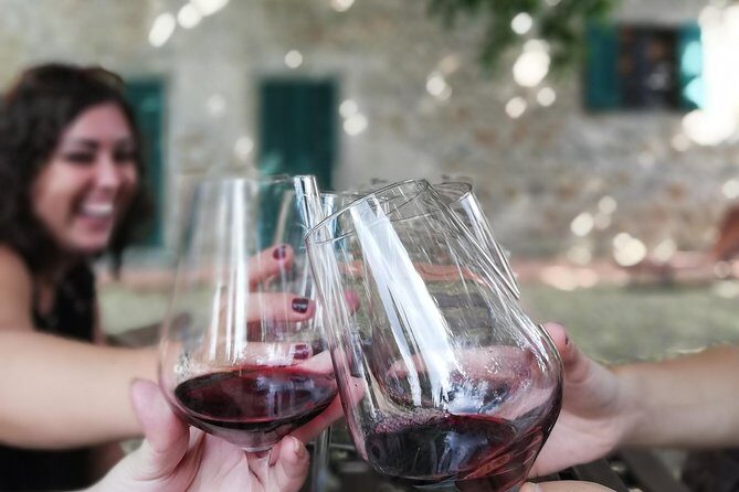 Chianti Wine Tour with Tuscan Lunch Open Top Van - Fattoria di Luiano: the cellar tour and the lunch that makes the day feel complete