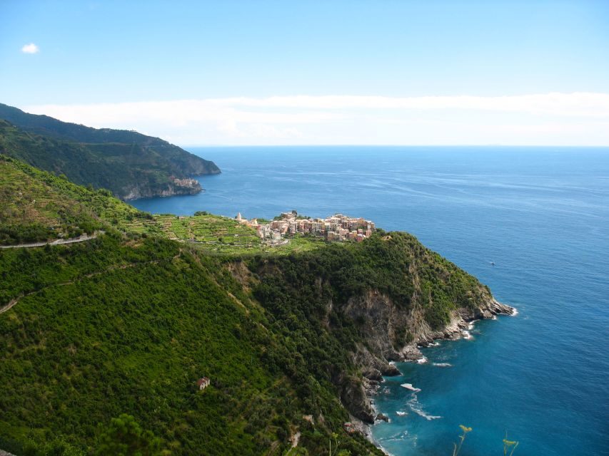 Cinque Terre Private Day Trip from Florence - Vernazza lunch stop: where to eat with the views