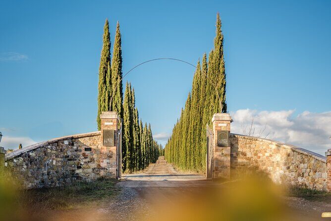 Classic Wine Tasting in Montalcino - Wine focus: Brunello, biodynamics, and a few surprises
