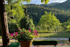 Cooking Class for Pasta Lovers in Florence Country House - Market Mission: What You Learn Before You Touch the Dough