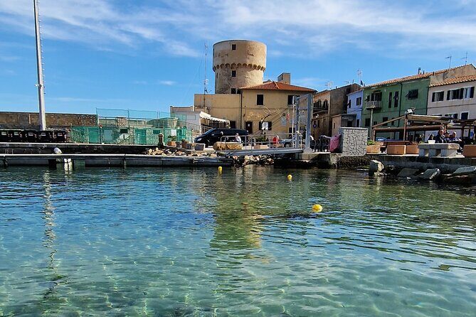 Daily excursions and guaranteed fun in Argentario - Price and value: $930.85 per group up to 12, and why that can be a win