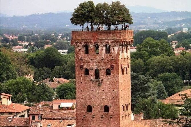 Discover Lucca and Pisa and Enjoy Buccellato Cake: Full Day Tour - Piazza Anfiteatro and the key Lucca sights in one guided pass