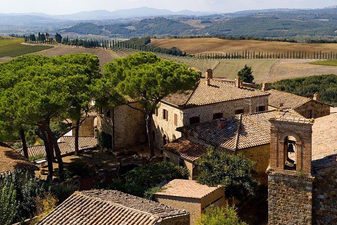 Discover Montalcino through its best productions: Brunello & Saffron!! - Why Montalcino’s Rosso and Brunello Work With Saffron