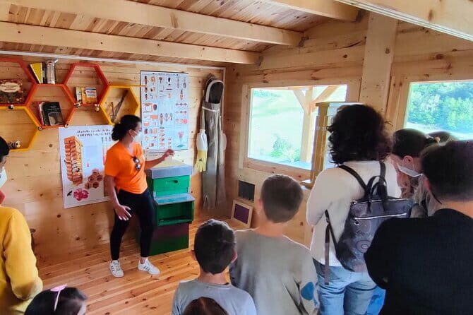 Discovering Bees in Volterra - Honey Extraction in the Laboratory: From Hive Work to Your Cup