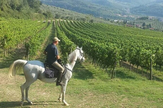 E-bike 2.5 hour Florence & Tuscany With Fresh Olive Oil and Bread - Guides and the Stories That Make the Stops Click