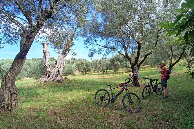 E-Bike Tour fortresses and mountains near the Free Baths of Saturnia - Stop-by-stop: Semproniano, Bosco Rocconi, Rocca Aldobrandesca, and Scalabrelli