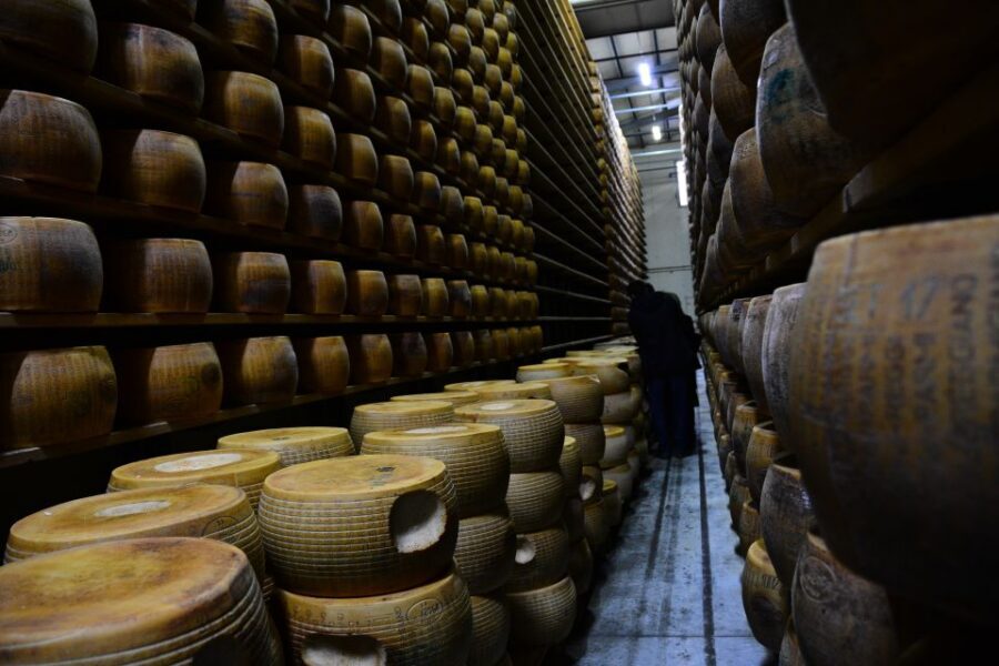 Emila-Romagna: Parmigiano, Prosciutto, Wine & Balsamic Tour - Key things to know before you go