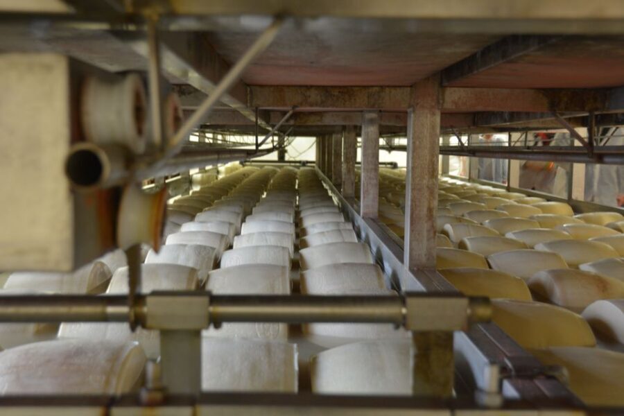 Emila-Romagna: Parmigiano, Prosciutto, Wine & Balsamic Tour - Villabianca for balsamic estate touring and lunch
