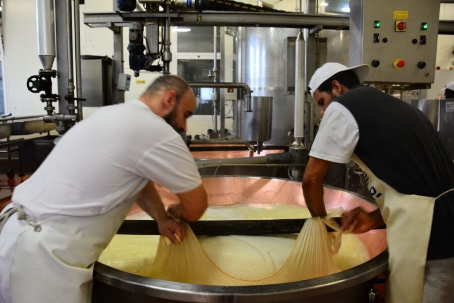 Emila-Romagna: Parmigiano, Prosciutto, Wine & Balsamic Tour - Casona: prosciutto tour, food tasting, and learning what you’re actually buying