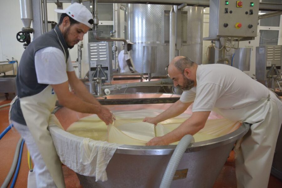 Emila-Romagna: Parmigiano, Prosciutto, Wine & Balsamic Tour - The Lambrusco winery visit: wine tasting with regional context