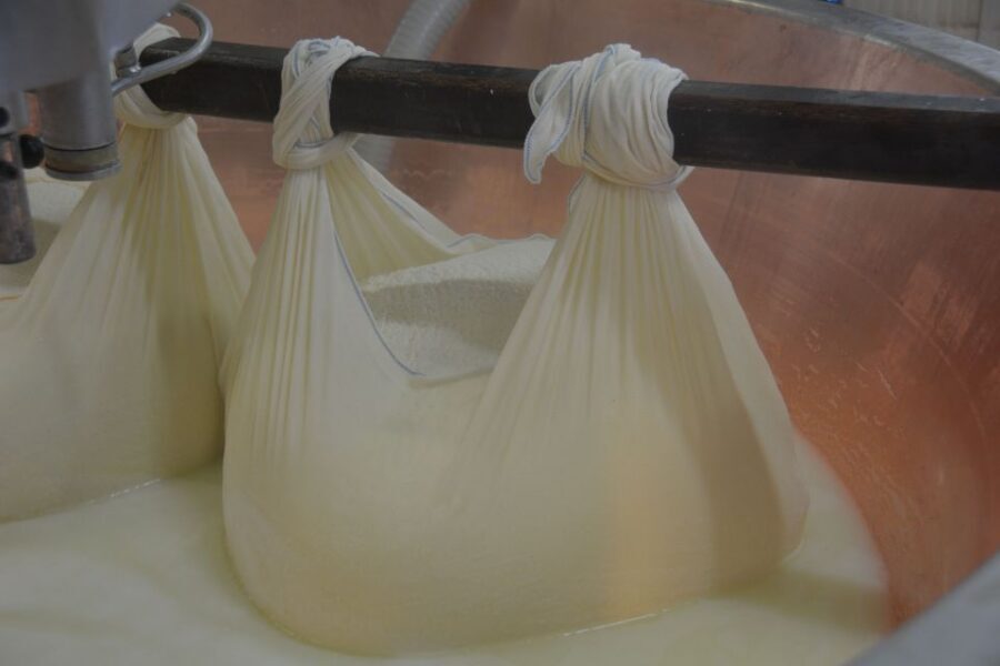 Emila-Romagna: Parmigiano, Prosciutto, Wine & Balsamic Tour - What you’ll taste (and why the tastings matter)