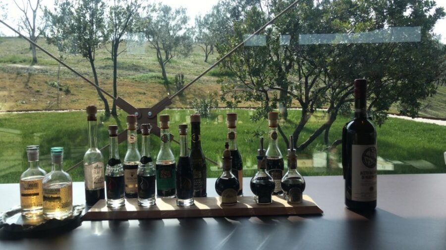 Emila-Romagna: Parmigiano, Prosciutto, Wine & Balsamic Tour - The guides make or break the day