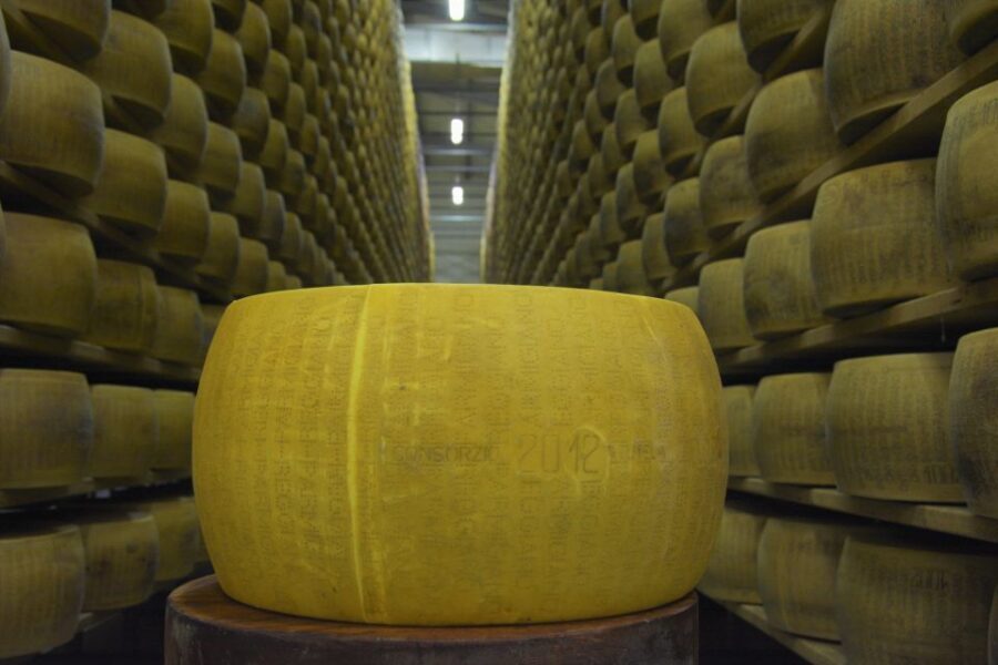 Emila-Romagna: Parmigiano, Prosciutto, Wine & Balsamic Tour - Florence pickup and a smooth ride into the countryside