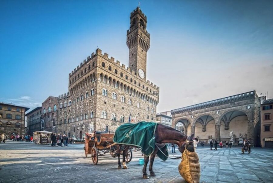 Essential Florence Walking Tour to discover its history - Medici Florence: Palaces, Politics, and the Stories Behind the Stone