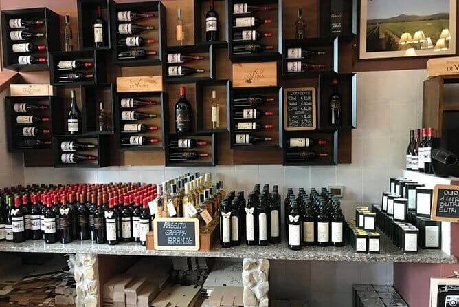 Exclusive Bolgheri from Florence: The Land of the Super Tuscan - 100% private means you steer the day