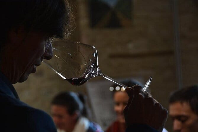 Exclusive Brunello di Montalcino tour from Florence - Stop 4 at Sant’Angelo in Colle (Villa i Cipressi): Solar Power, Organic Choices, and Honey Wine Life
