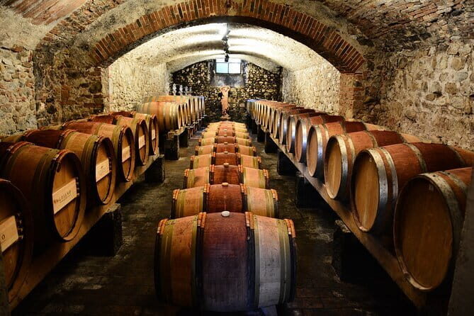 Exclusive Chianti Classico Day Trip from Florence - Key reasons this Chianti Classico day trip is a standout