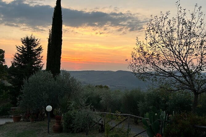 Exclusive Chianti Classico Day Trip from Florence - Entering Chianti Classico: what makes this day so easy