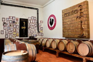 Exclusive Chianti Classico Day Trip from Florence - Florence pickup and the first winery stop: set the tone early