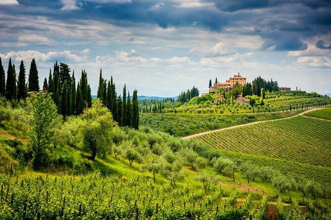 Exclusive Chianti Classico Day Trip from Florence - The drive between wineries: why comfort matters on this kind of day