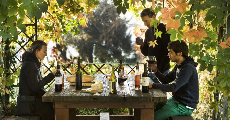 Exclusive Chianti Rufina Half-Day with lunch from Florence - Key things to look forward to