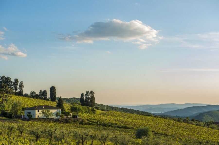 Exclusive Chianti Rufina Half-Day with lunch from Florence - Stop 1 at Tenuta di Grignano: A Guided Tour and Your First Tastings