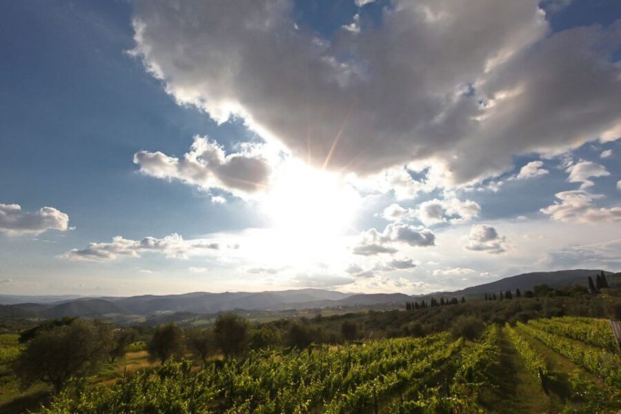 Exclusive Chianti Rufina Half-Day with lunch from Florence - Tenuta Bossi: Lunch With Km 0 Products and Another Round of Wine Education