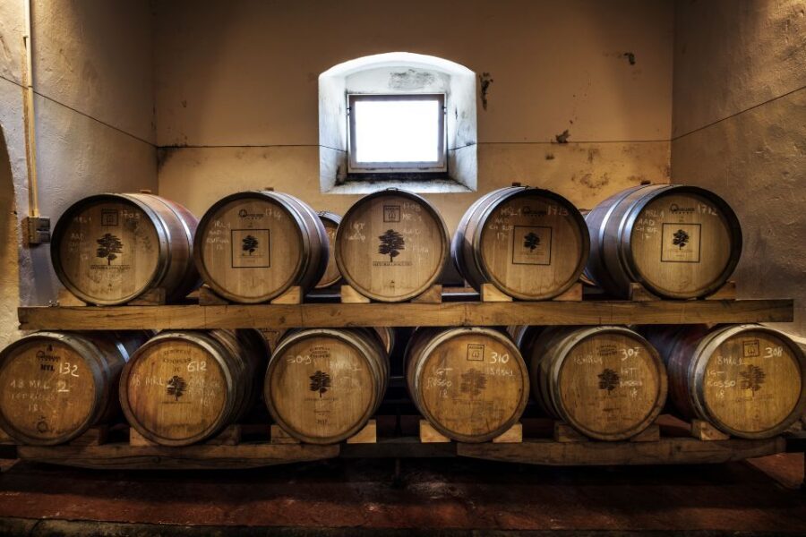 Exclusive Chianti Rufina Half-Day with lunch from Florence - Who This Tour Fits Best (and Who May Want a Different Plan)