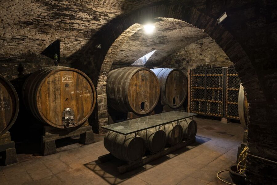 Exclusive Chianti Rufina Half-Day with lunch from Florence - Should You Book the Exclusive Chianti Rufina Half-Day With Lunch?