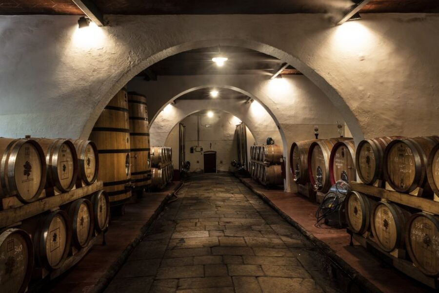 Exclusive Chianti Rufina Half-Day with lunch from Florence - Getting From Florence: Private Pickup and a Half-Day Rhythm
