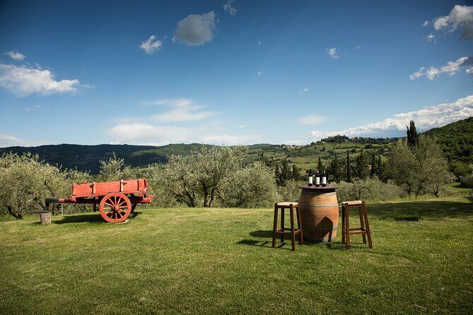 Exclusive lunch, Winery tour, Organic wines in Chianti Classico - The Winery Tour: Views, Estate History, and a Real Tasting Flow