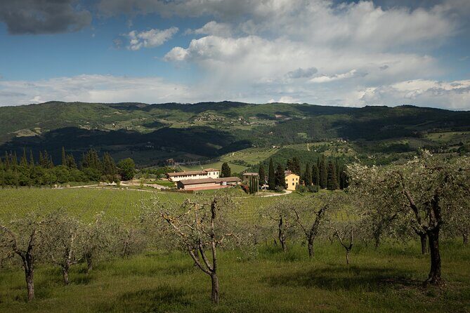 Exclusive lunch, Winery tour, Organic wines in Chianti Classico - The Lunch: An Exclusive Meal with Olive Oil, Tuscan Bread, and a View