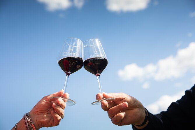 Exclusive lunch, Winery tour, Organic wines in Chianti Classico - What You’ll Taste: Organic Wines, Chianti Classico Style, and Tuscan Bread Moments