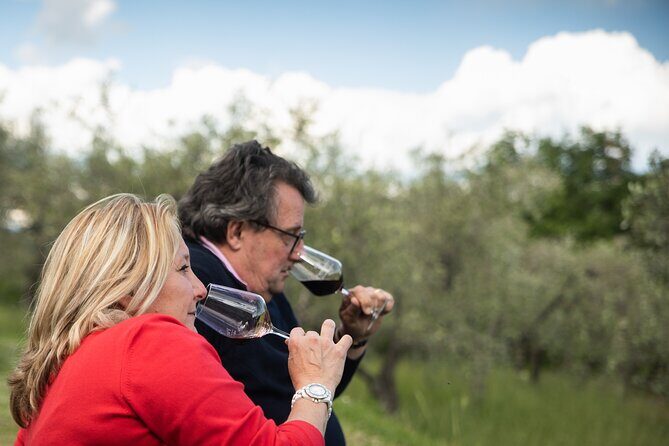 Exclusive lunch, Winery tour, Organic wines in Chianti Classico - Price and Value: Is $132.45 Fair for an Exclusive Lunch + Tour?