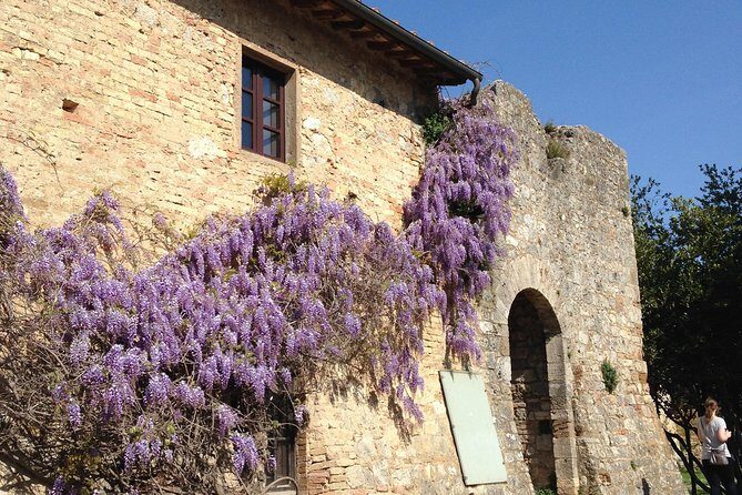 Exclusive Private tour To Siena and San Gimignano - Key highlights at a glance