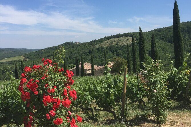 Exclusive Private tour To Siena and San Gimignano - Comfort and pacing: what makes or breaks an 8-hour day