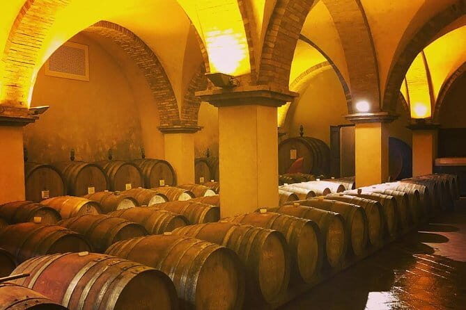 Exclusive Private Tuscany Wine Tour & Food Pairing Session - Key points to know before you go