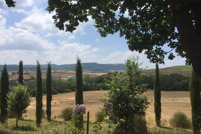 Exclusive Private Tuscany Wine Tour & Food Pairing Session - The Florence to Chianti drive: views without the planning headache