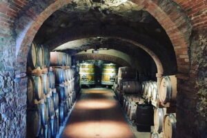 Exclusive Private Tuscany Wine Tour & Food Pairing Session - Pickup at your front door and a minivan that keeps things sane